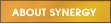 About Synergy Unlimited